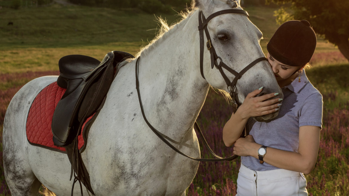 The Essential Guide to Natural Horse Treats for Training