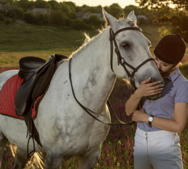 The Essential Guide to Natural Horse Treats for Training