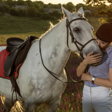 The Essential Guide to Natural Horse Treats for Training